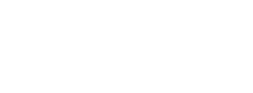 Luca Pisu | Bassista | Musicista Logo